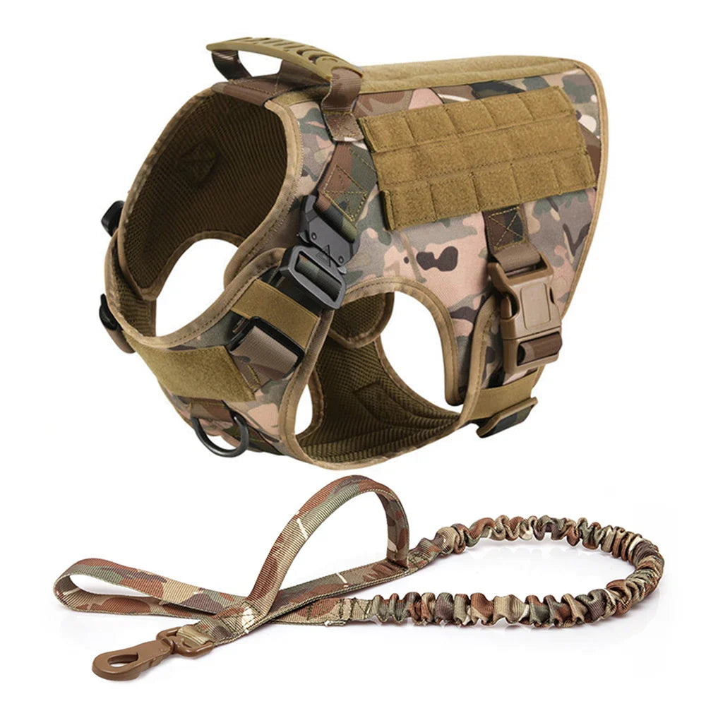 Large Dog Harness And Leash Set For Training